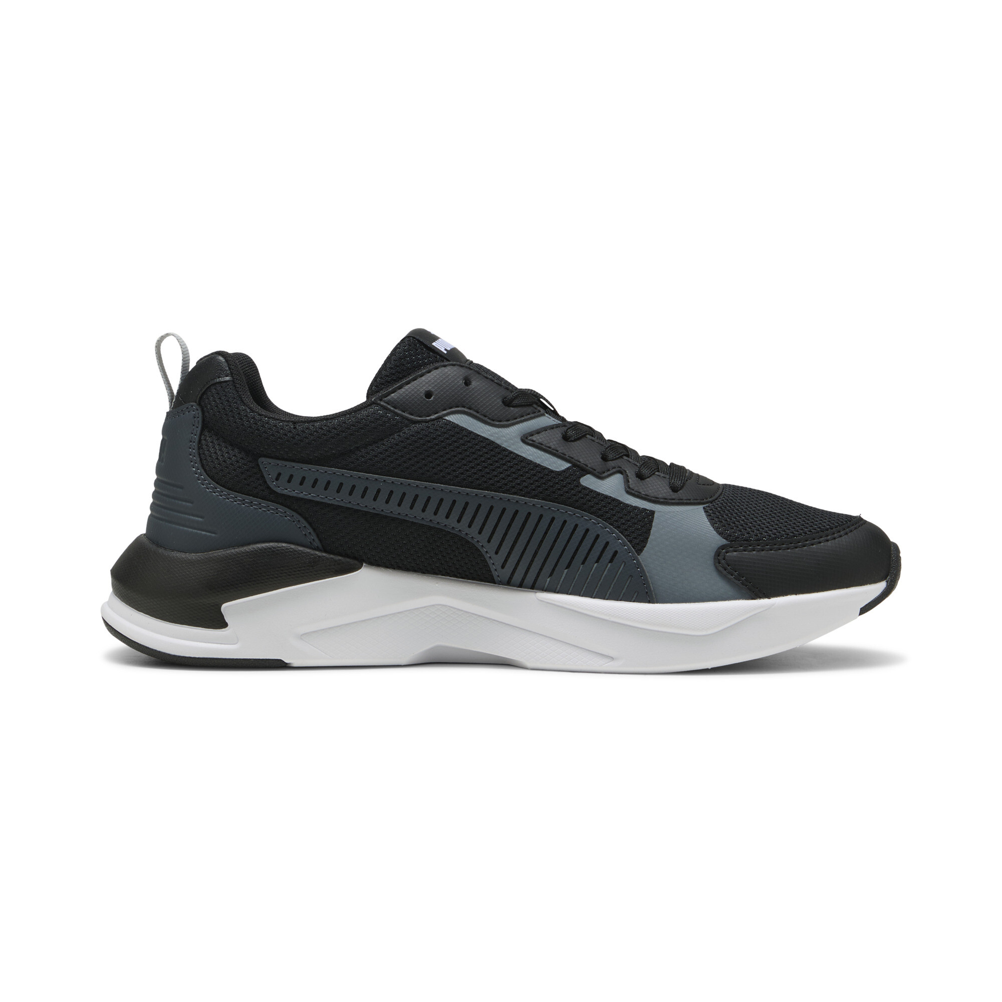 40022901_02 X-Ray 3 Lt – Image 1